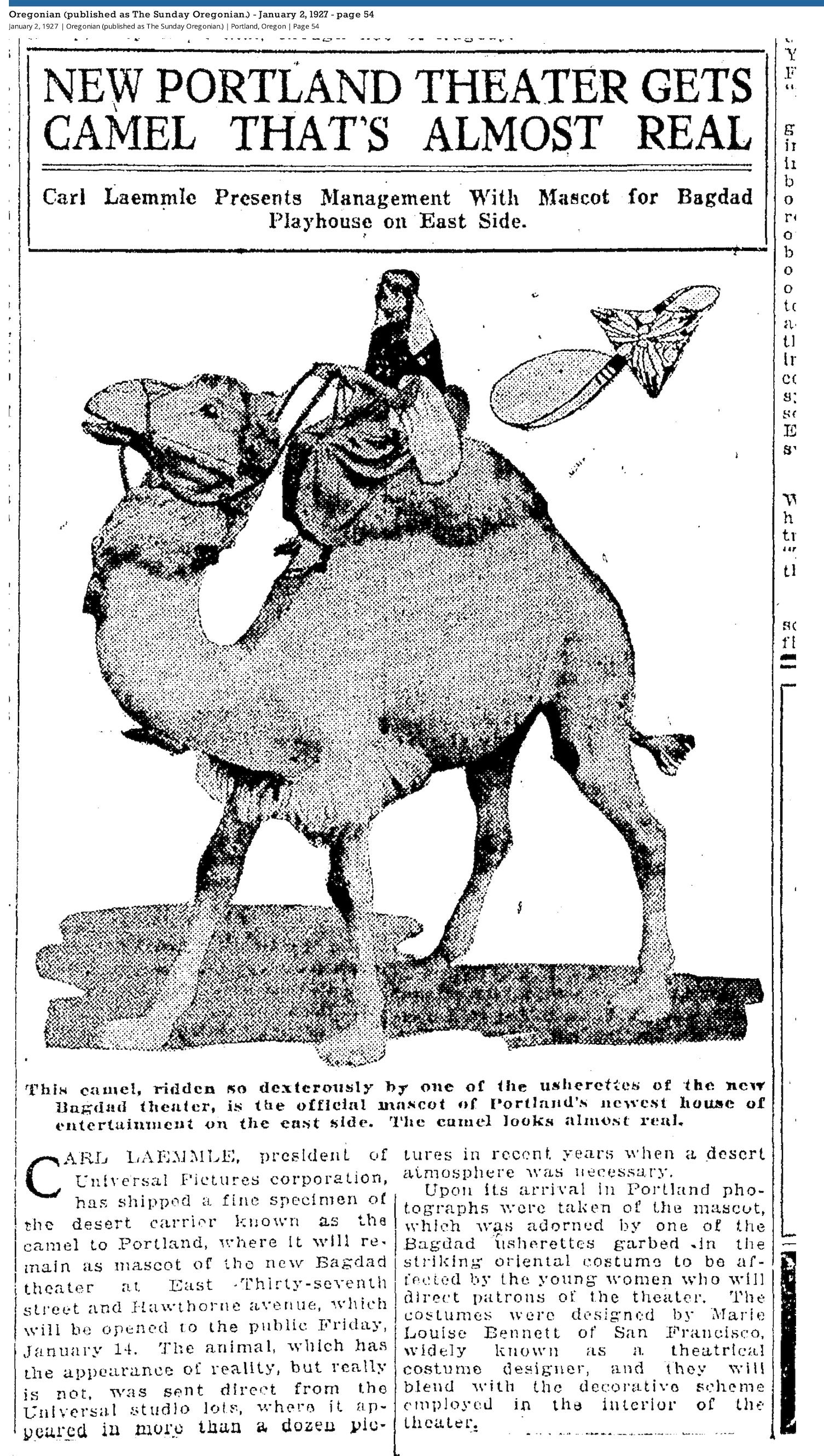 Newspaper article with drawing of camel prop and article about it
