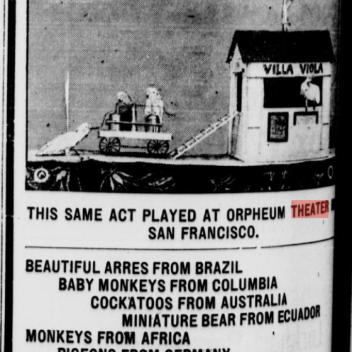 Advertisement for Miss Viola's Animal Circus at the Royal Theater