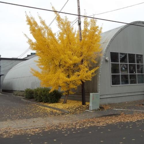 The Quonset hut design from the rear