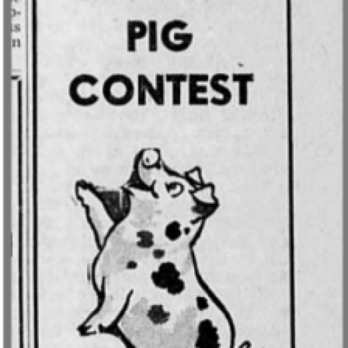 Greased Pig Contest