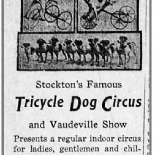 Bell Theatre ad, Nov. 11, 1914